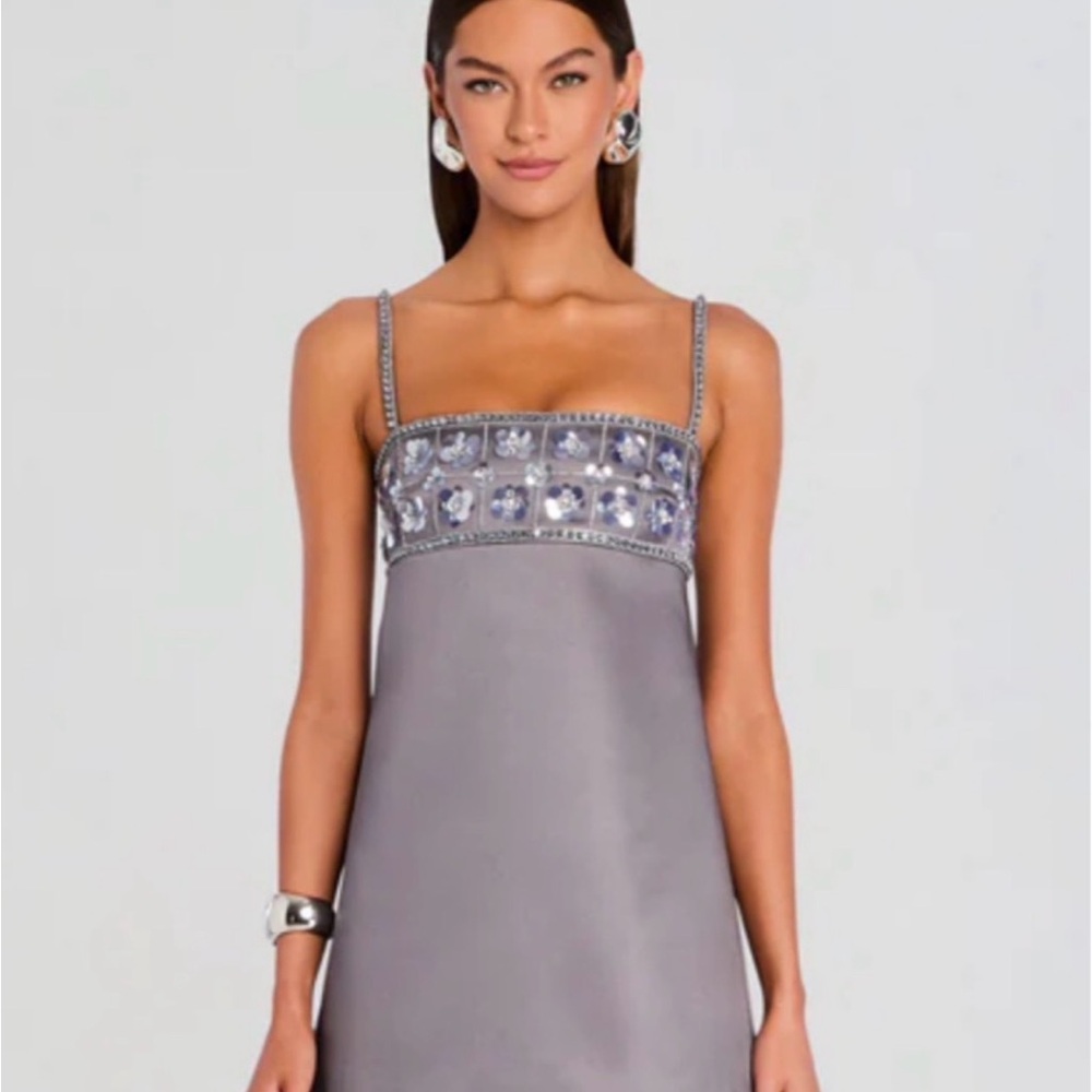 ISO Retrofete LARK EMBROIDERED DRESS